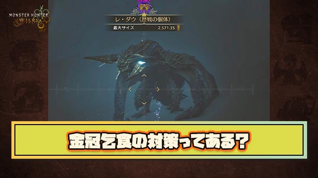 【急募】金冠を双眼鏡で確認して無しなら即抜けとかいう現環境最悪の乞食ハンターの対策