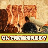 【何故】「タイミング良く肉を切り分けると数が倍に増える」とかいうモンハンワイルズ最大の謎